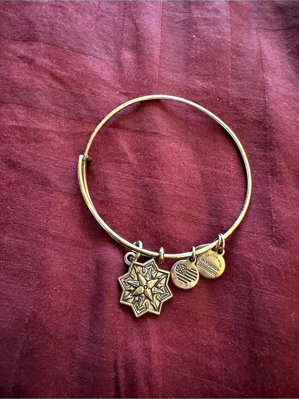 Alex and Ani Compass Charm Bangle Gold & Silver